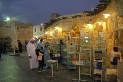 We entered a part of Souq Waqif where they sold birds and small animals.