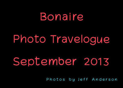 Bonaire cover page.jpg