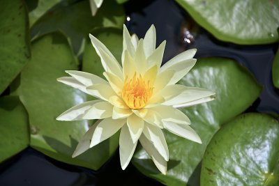 DDM_0407.jpg