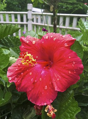 IMG_0246.jpg