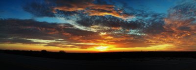 IMG_1544.jpg