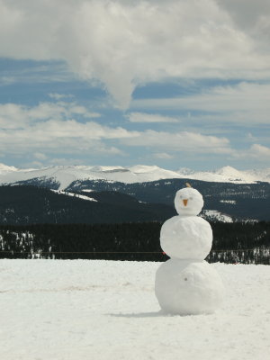 Lonely Last Day Snowman