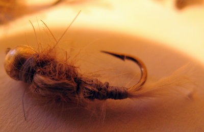 Emerger
