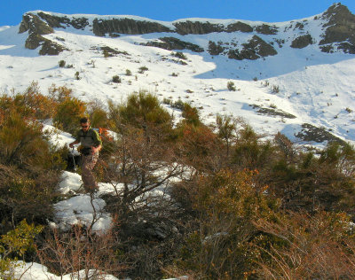 Patagonia (Gallery)