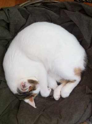 IMG_5644_resize.JPG