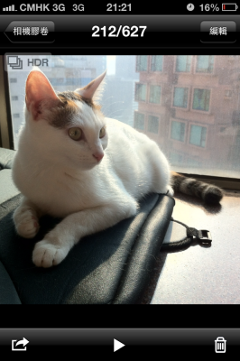 IMG_6844_resize.PNG