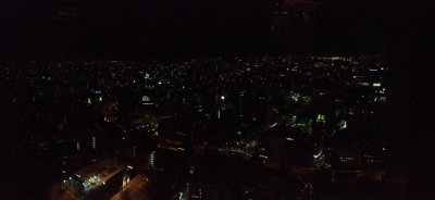 Day 1 - Stay at Tokyo
