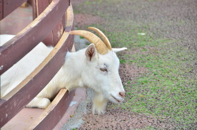 DSC_4480_resize.JPG