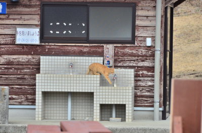 DSC_4499_resize.JPG
