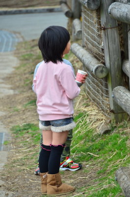 DSC_4501_resize.JPG