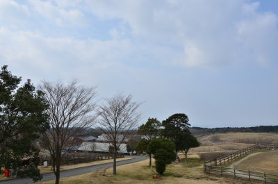 DSC_4506_resize.JPG