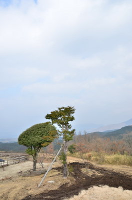 DSC_4507_resize.JPG