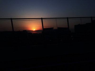 IMG_7941_resize.JPG