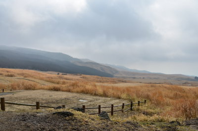 DSC_4574_resize.JPG
