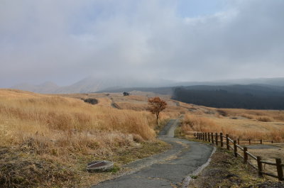 DSC_4576_resize.JPG