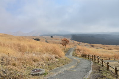 DSC_4577_resize.JPG