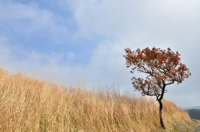 DSC_4578_resize.JPG