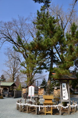 DSC_4594_resize.JPG