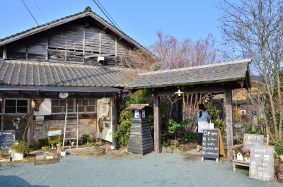 DSC_4600_resize.JPG