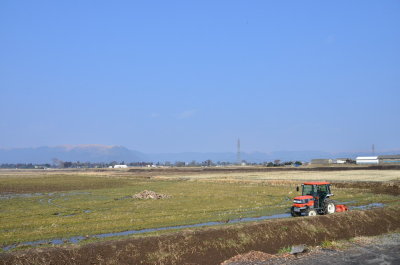DSC_4601_resize.JPG