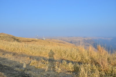DSC_4621_resize.JPG
