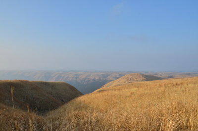 DSC_4623_resize.JPG