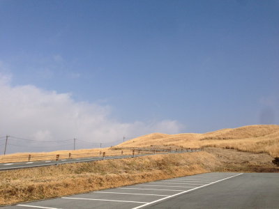 IMG_7994_resize.JPG