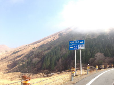 IMG_7996_resize.JPG