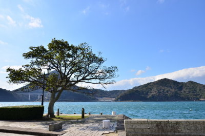 DSC_4947_resize.JPG