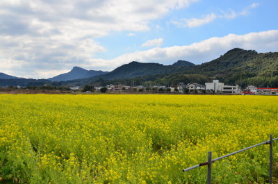 DSC_4958_resize.JPG