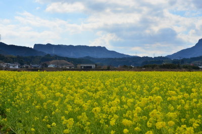 DSC_4975_resize.JPG