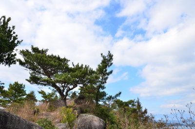 DSC_4986_resize.JPG