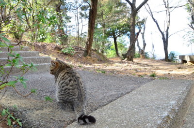 DSC_5025_resize.JPG