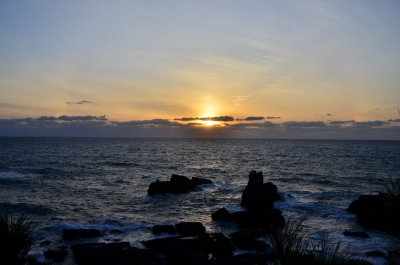 DSC_5049_resize.JPG