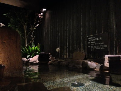 IMG_8196_resize.JPG