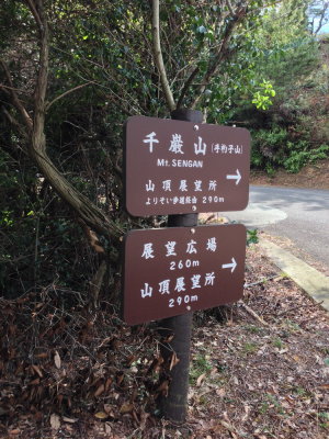 IMG_8227_resize.JPG