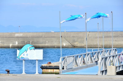 DSC_5085_resize.JPG