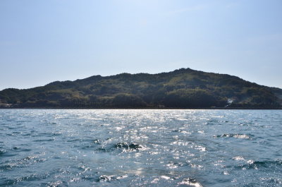 DSC_5088_resize.JPG
