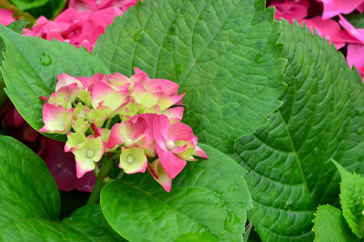 DSC_6328s.jpg