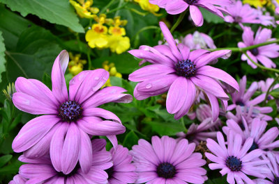 DSC_6341s.jpg