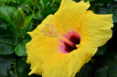 DSC_6353s.jpg