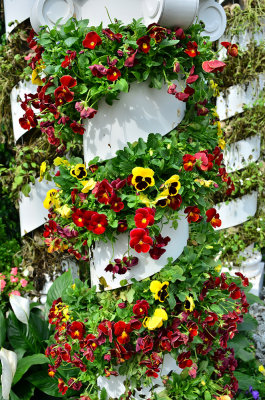 DSC_6378s.jpg