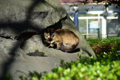DSC_0754.JPG