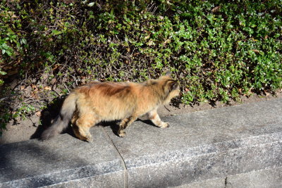 DSC_0757.JPG