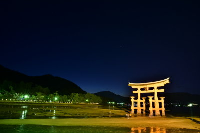 DSC_0877.JPG
