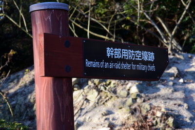 DSC_0963.JPG