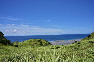 DSC_1774s.jpg
