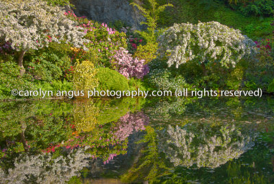 Butchart Gardens   976-Edit.jpg