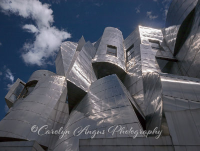 Frank_Gehry_Weisman_Museum