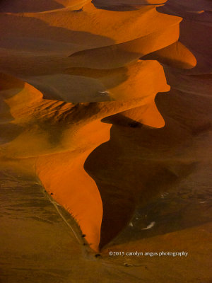 Dawn on Dune 45